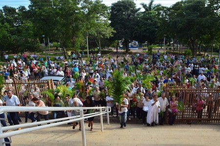 Domingo de Ramos: Confira a programação da Paróquia de São José