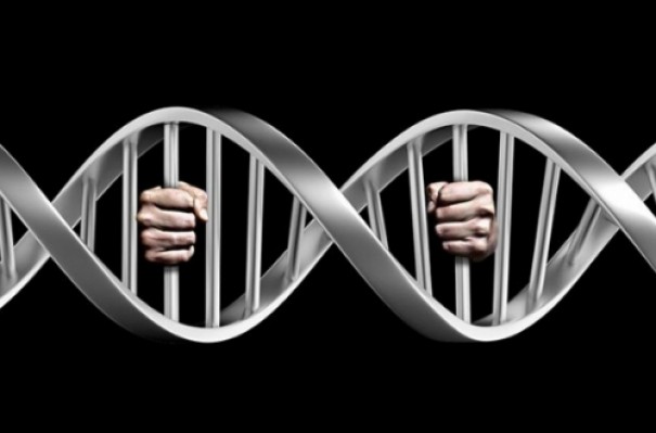Banco de DNA vai reunir dados genticos de criminosos