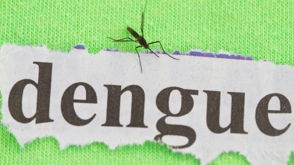 Tup j tem mais de 1100 casos de dengue em 2019