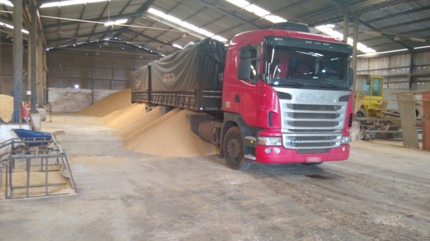 Tr�s homens s�o presos ap�s desvio de mais de 74 toneladas de farelo de soja ser descoberto em Teodoro Sampaio