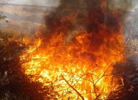 Incêndio rompe cabos de distribuição e deixa mais de cinco mil consumidores sem eletricidade em Álvares Machado