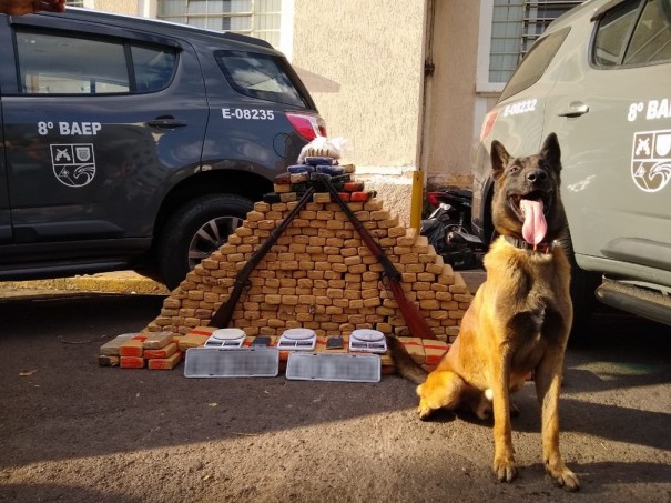 Pol�cia Militar encontra mais de 300 tabletes de drogas enterrados em matagal em Presidente Prudente