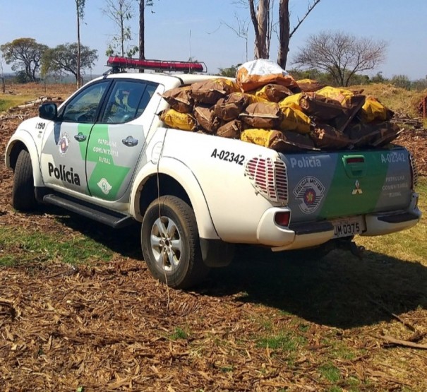 Fiscaliza��o apreende mais de 400kg de carv�o vegetal transportados sem documenta��o de origem em Martin�polis