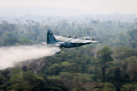 Sete estados já pediram apoio federal para combater incêndios