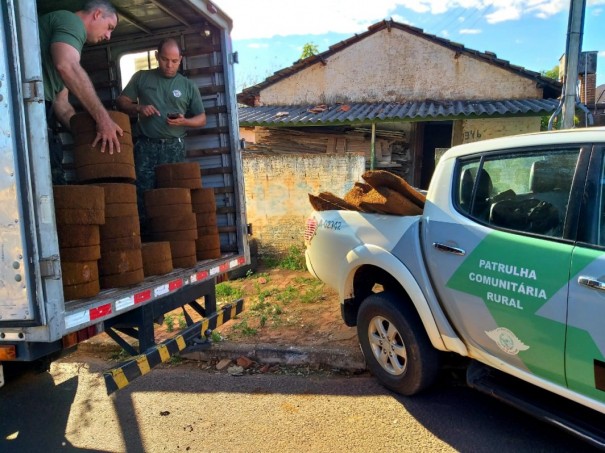 Pol�cia Ambiental descobre dep�sito clandestino de xaxim em Indiana