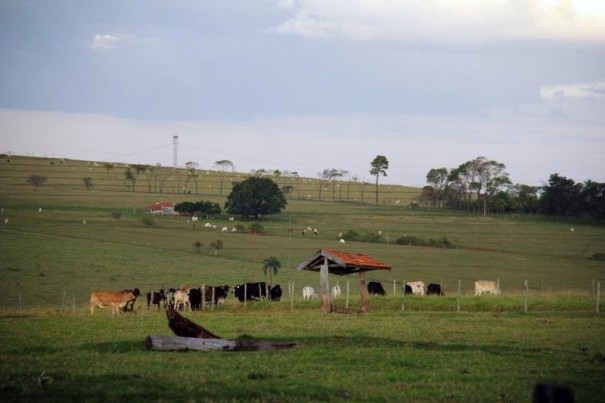 Receita Federal aguarda 43,2 mil declaraes de ITR
