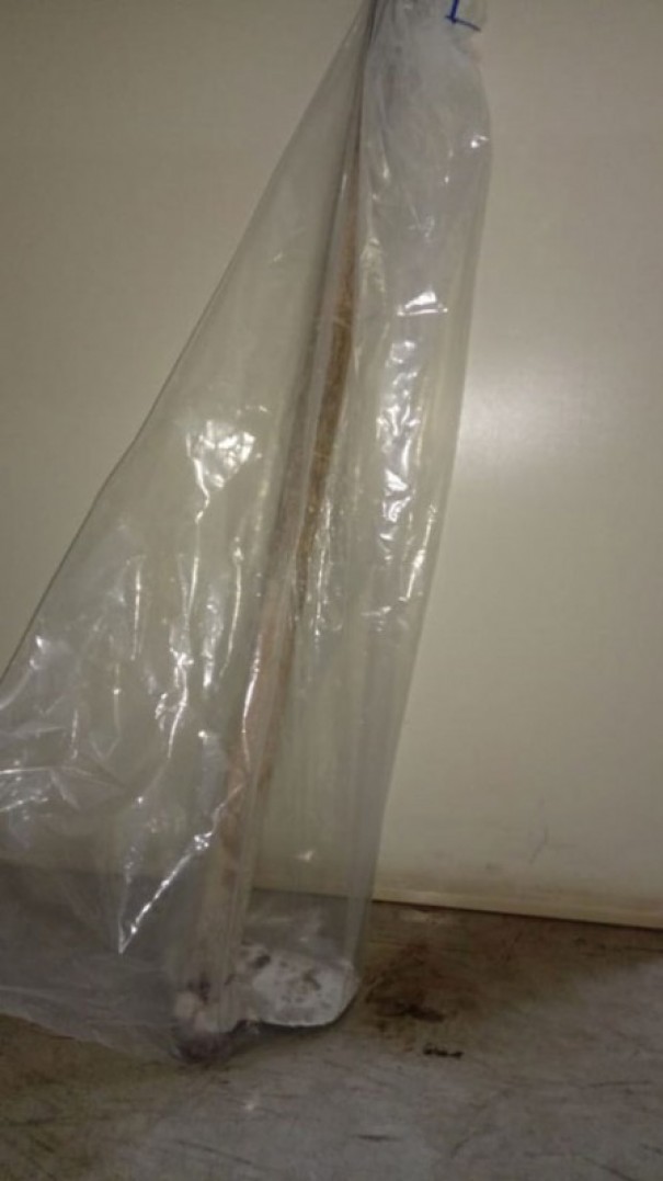 Homem tenta furtar loja em Paragua�u usando enxada