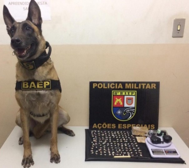 Com apoio de cadela de faro, PM localiza drogas e prende homem em flagrante na Vila Brasil