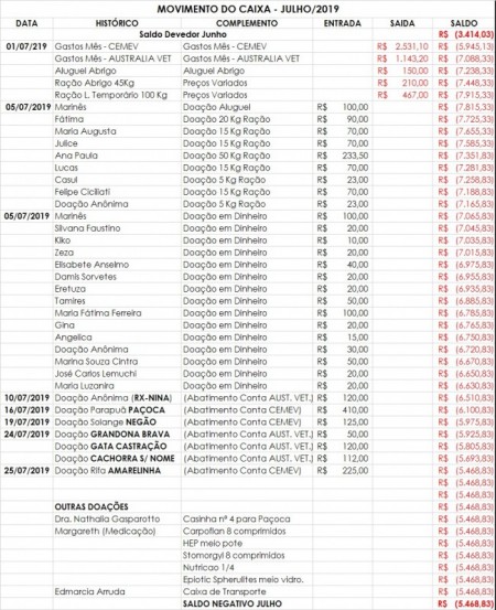 Ong Castracão realiza prestação de contas das doações do mês de julho