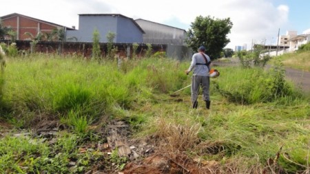 Setor de Conservação de Vias Públicas alerta para a limpeza de terrenos e lotes em OC