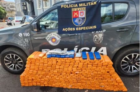 Motorista Ã© preso ao transportar mais de 430 tijolos de maconha na SP-425, em Ãlvares Machado