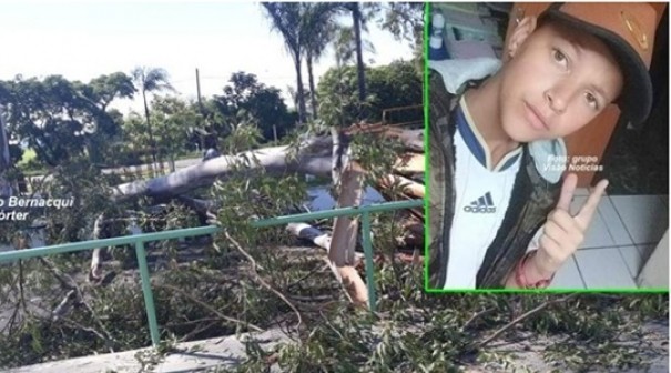 Galho de eucalipto cai em praa e mata garoto de 14 anos na regio