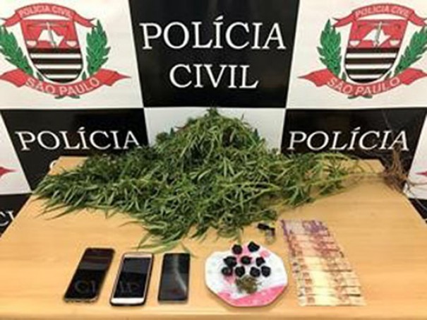 Pol�cia Civil de Adamantina prende casal por tr�fico de drogas e encontra p� de maconha em canteiro