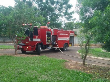 Corpo de Bombeiros de OC resgata filhotes de gato de dentro de bueiro