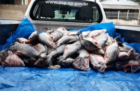 Polícia Ambiental flagra pescador na 'Piracema' e apreende 1 mil metros de redes e 200 kg de peixes