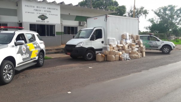 Fiscaliza��o apreende 1.340 quilos de maconha em Rosana e prende quatro homens por tr�fico internacional de droga
