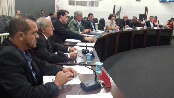 Cmara Municipal abre ano legislativo 2019 com formao de comisses permanentes
