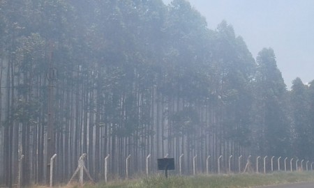 Queima de palha de soja na Granol causa grande volume de fumaça e assusta moradores de OC