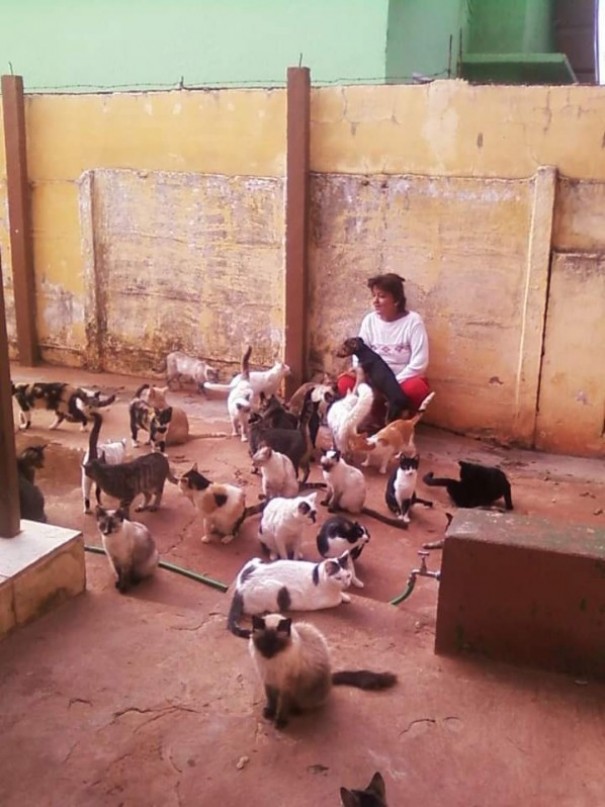 Ministrio Pblico de OC determina retirada de gatos da residncia da 'Ftima dos gatos'