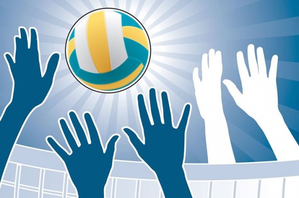 LAVOP realizou Congresso Tcnico em Osvaldo Cruz