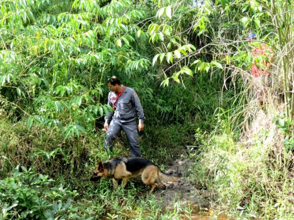 Bombeiros realizam buscas para tentar localizar homem desaparecido em Osvaldo Cruz 