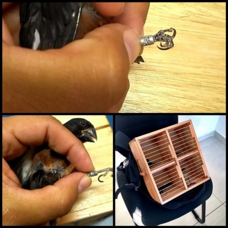 Crimes ambientais e descaminho são registrados após abordagem a ônibus na SP-270, em Presidente Prudente