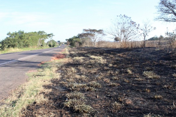 Incndios atingem vegetaes em rea de loteamento e margem de rodovia na regio