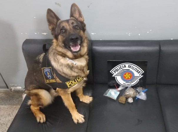 Com apoio do Canil, homem � preso por tr�fico de drogas enquanto trabalhava em posto de combust�veis