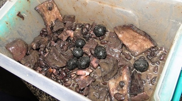 Mulher leva feijoada recheada com alto-falantes e microfones a penitenci�ria