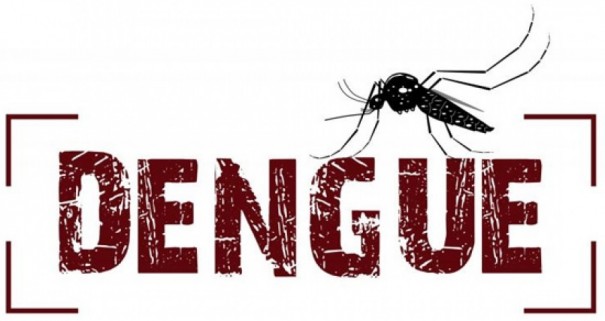 Dengue: 890 casos confirmados da doena em Osvaldo Cruz