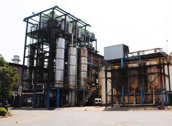 FLORALCO: novo leilo ser em agosto e empresas manifestam interesse em arrematar