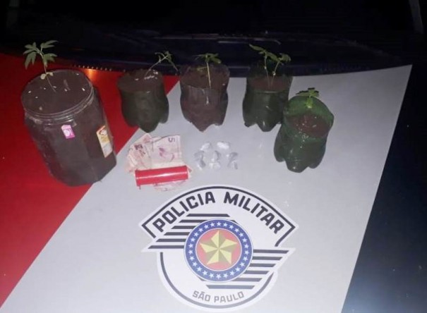 Pai e filho s�o presos por furto e tr�fico com por��es e p�s de maconha