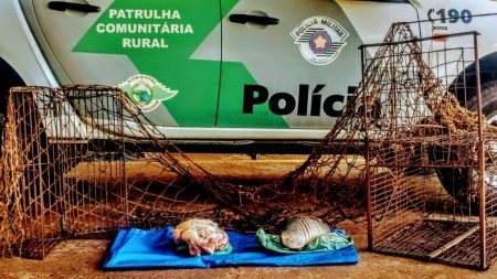 Polícia Militar Ambiental multa caçador em R$ 1,5 mil e apreende carne de tatu em Rosana