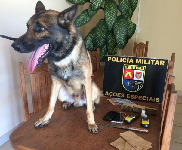 Com apoio do Canil, Baep prende homem que escondia droga dentro de pneu em Rancharia