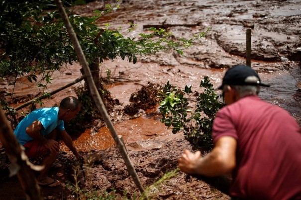 Vale concluiu 49 acordos individuais de indeniza��o em Brumadinho