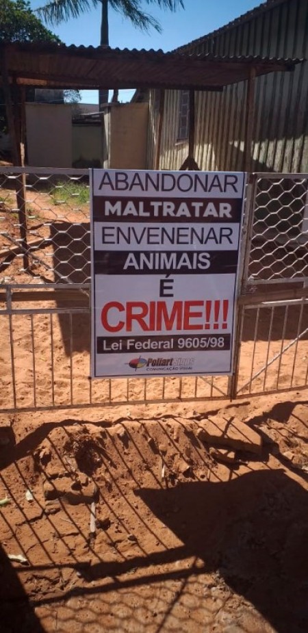 Matança de animais assusta moradores de Osvaldo Cruz 