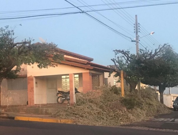 Descarte irregular de galhos gera problema para a Prefeitura de Osvaldo Cruz