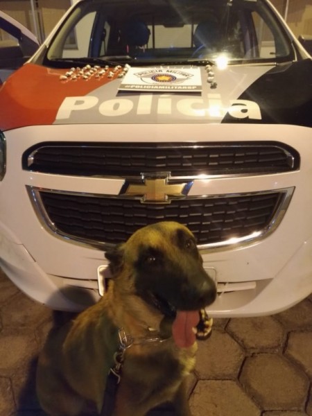 Polícia Militar de Osvaldo Cruz prende traficante com crack e maconha na Vila Esperança