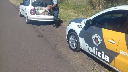 PM Rodoviária prende homem na SP 294 em Dracena transportando entorpecente