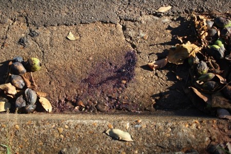 Comerciante que matou mulher atropelada é condenado pela Justiça