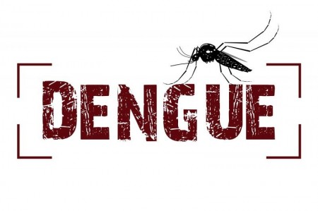Salmourão registra um caso importado de dengue em 2019