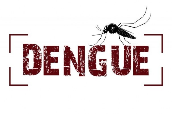 Salmouro registra um caso importado de dengue em 2019