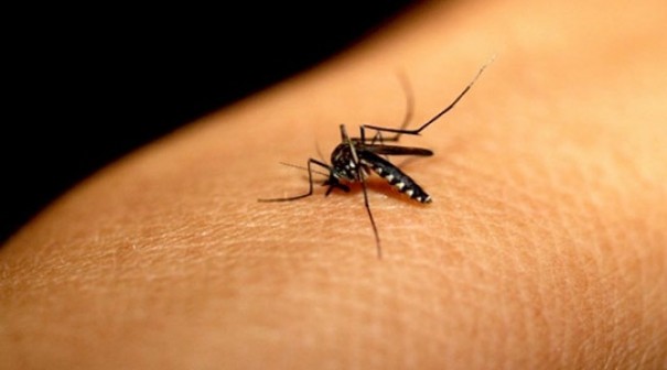 Tup registra terceira morte neste ano por complicaes da dengue