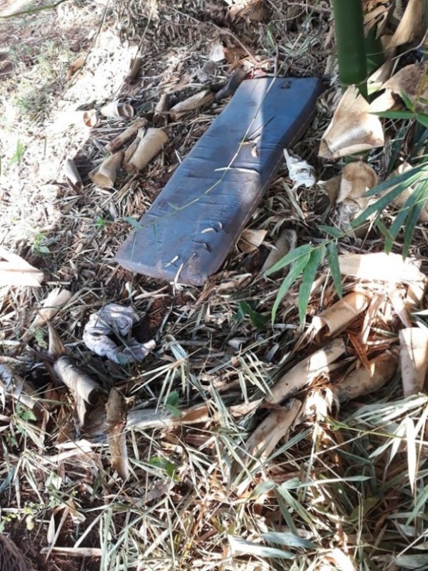 Padrasto � esfaqueado ao flagrar estupro de enteada de 3 anos em canavial