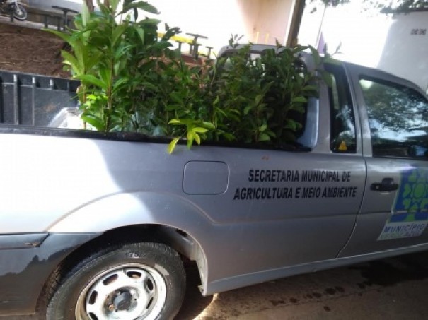 SAMA vai distribuir mudas nativas no desfile de anivers�rio da cidade