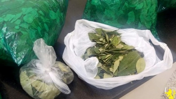 Pol�cia apreende 2,3 quilogramas entre folhas de coca e coca�na em Presidente Venceslau