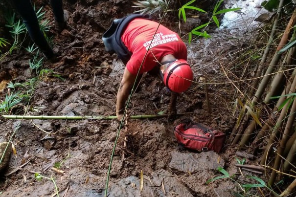 Famlias de Brumadinho recebero cesta bsica mensal da Vale por 1 ano