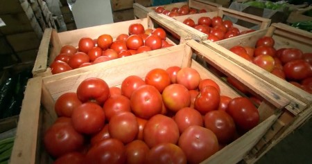 Pesquisa aponta aumento de 53,39% no preço do quilo do tomate, em Presidente Prudente