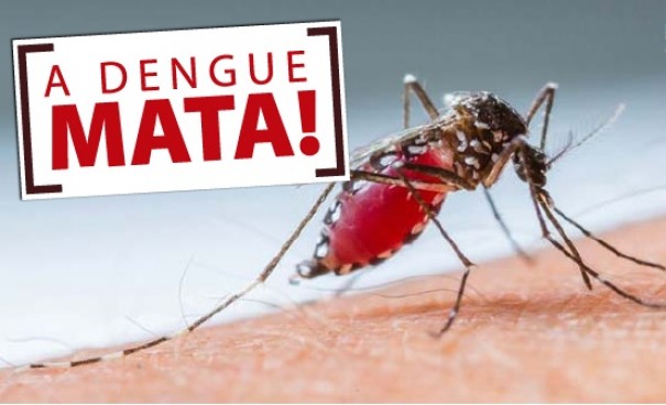 Tup j passa de 100 casos de dengue em 2019