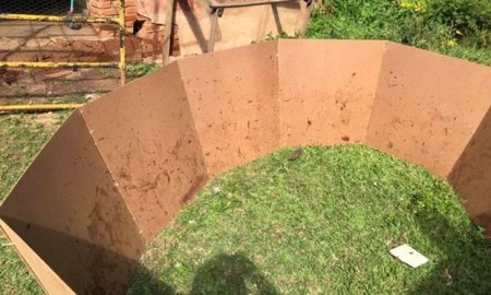 Galos utilizados para rinha são apreendidos em propriedade rural de Tupã